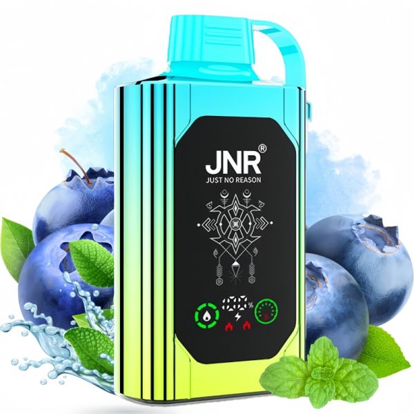 JNR Shisha Hookah Box 20500 Blueberry Mint 1 - Clase Azul Vape